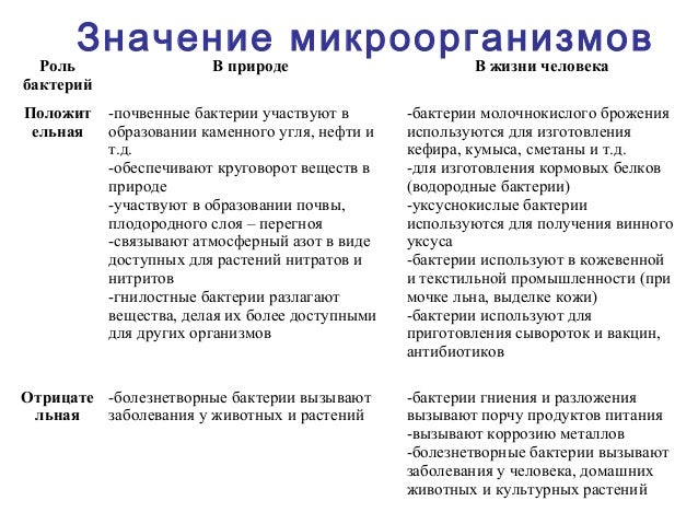 Картинки микроорганизмов в природе Картинки микроорганизмов в природе